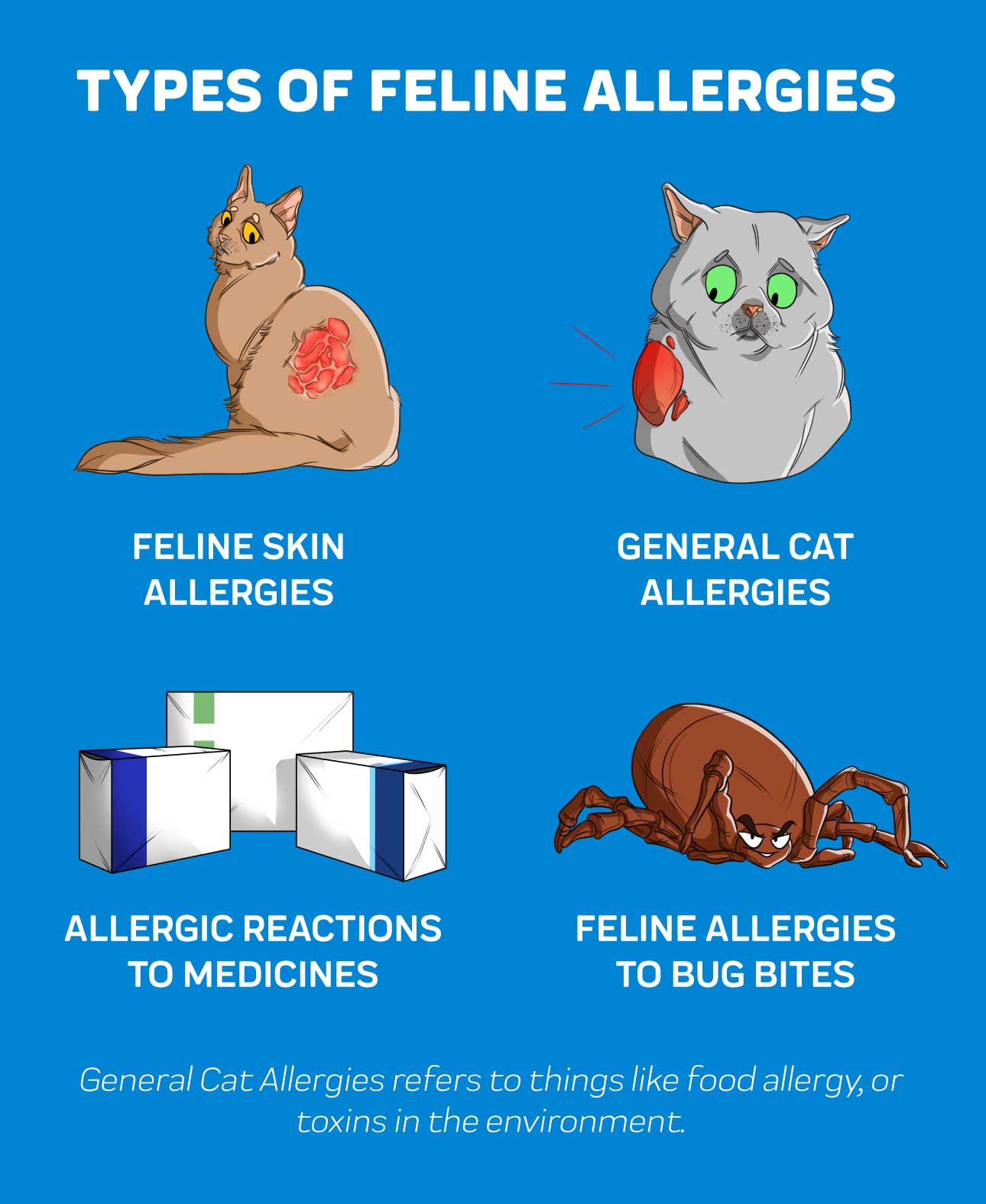 Types of Feline Allergies