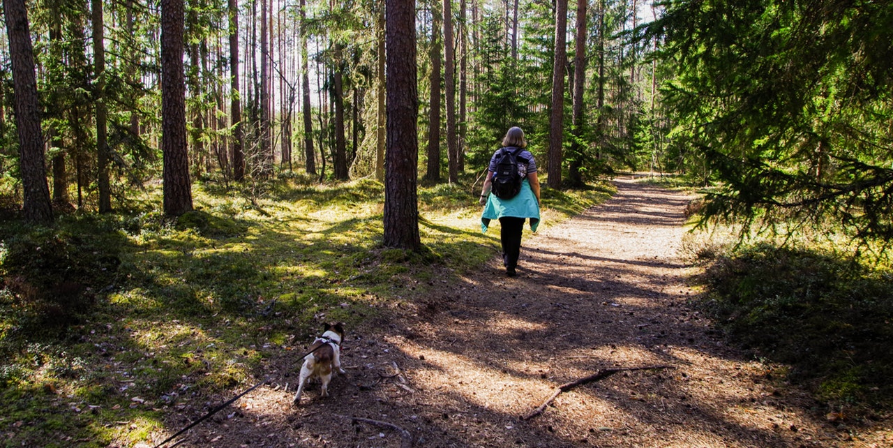 things to do with your dog hiking