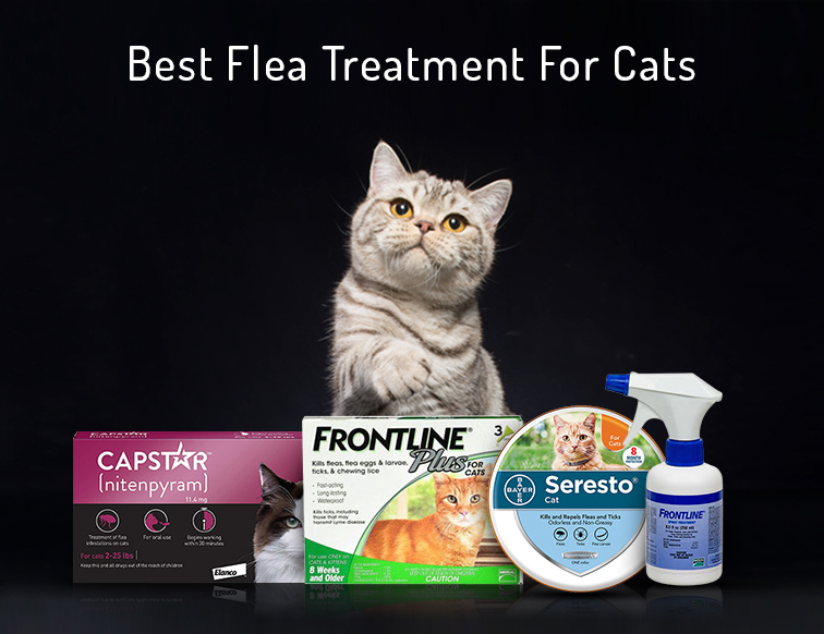 BEST FLEA TREATMENT FOR CATS JollyPetsLife