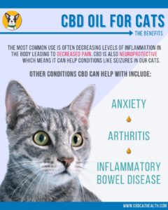 Benefits of CBD Oil for cats infographic