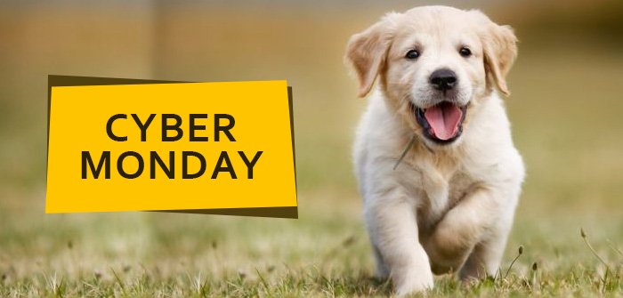 cyber monday pet supplies deals