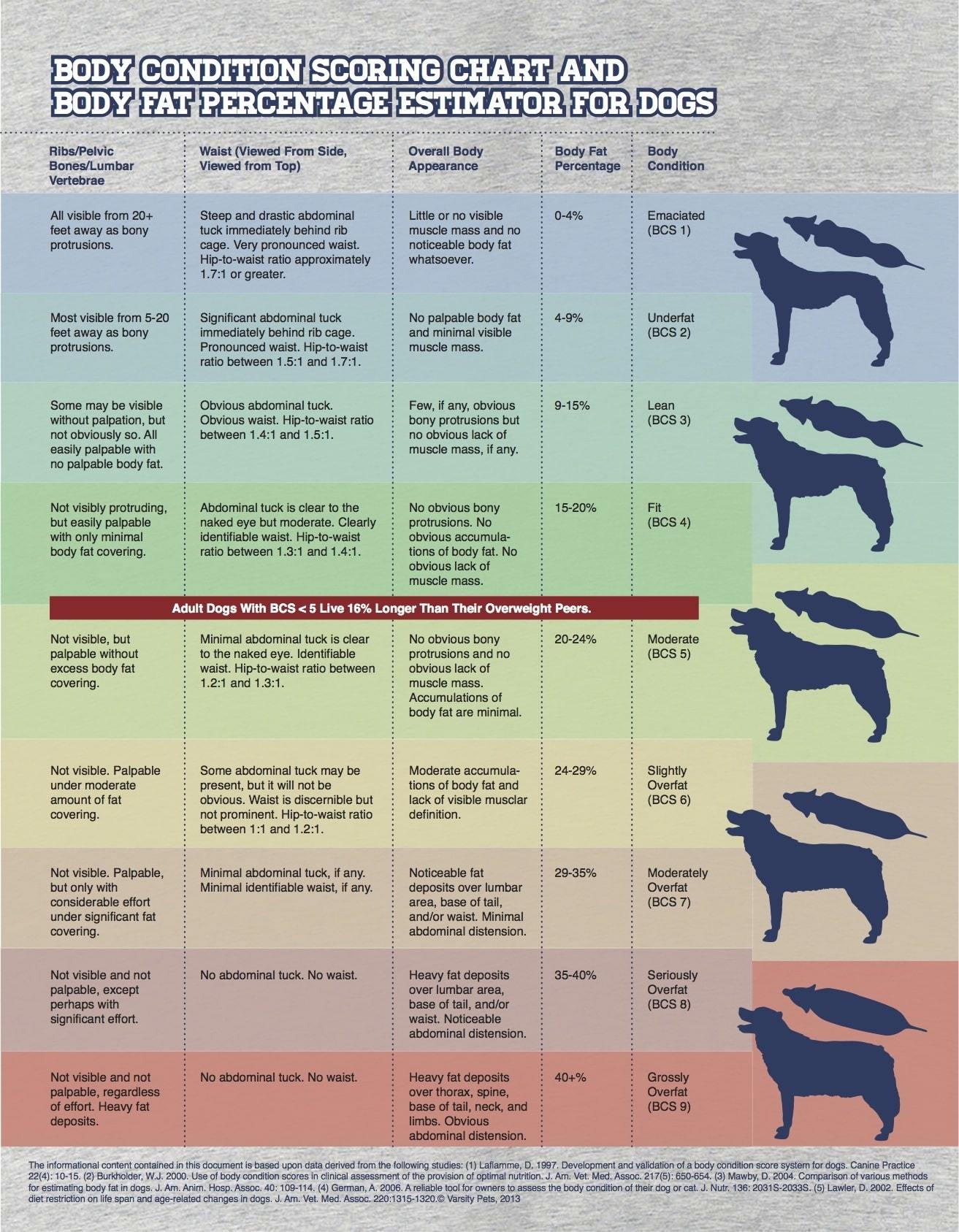 Body Condition Scoring Chart For Dogs