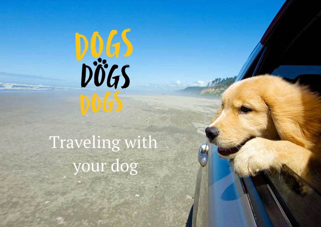 Travelling with your dog