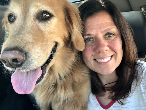 gold retriever Bella smiling with tongue out in car with brunette woman owner