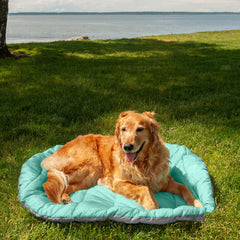 Trail Pup Packable Pillow