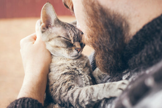 Best Ways to Calm Your Cat