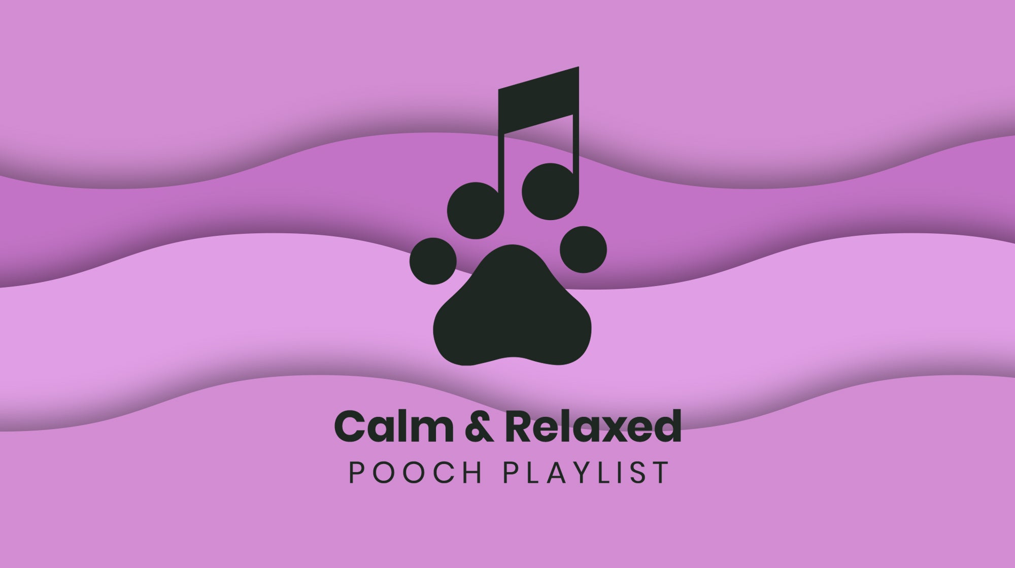 Calm and Relaxed Pooch playlist