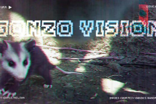 Gonzo Vision