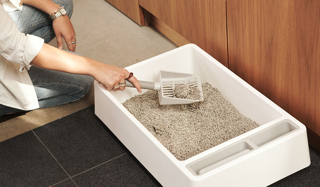 Cleaning litter box with tofu cat litter