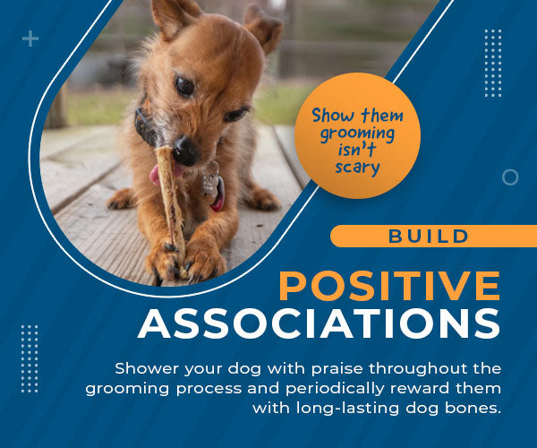 build positive associations dog bones