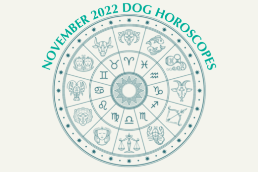 Dog Horoscopes: What to Expect in November 2022
