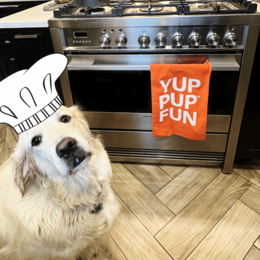 PUP Project: Holiday Baking With Beau