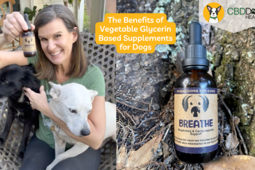 Is Vegetable Glycerin Safe for Dogs?
