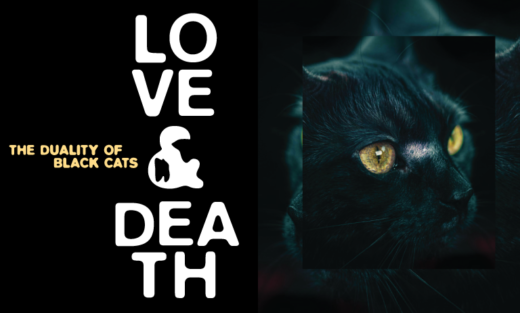 Love & Death – The Duality of Black Cats