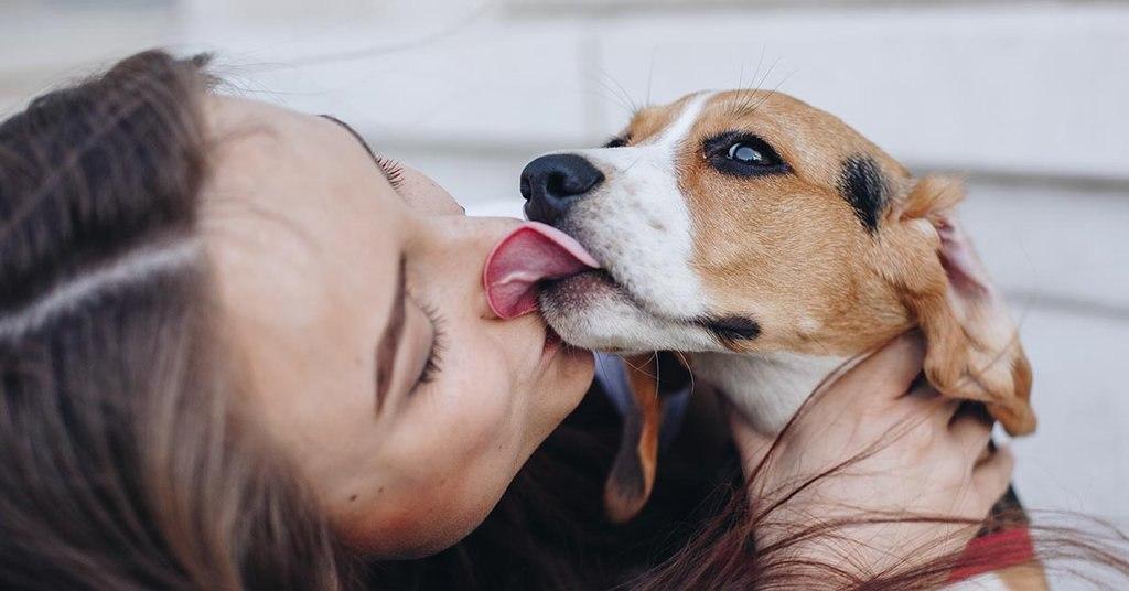 Ways your dog shows they love you licking