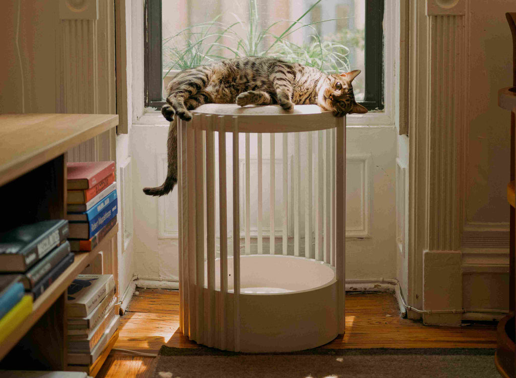 A bengal cat lying on a tuft + paw Grove Modern Cat Tower