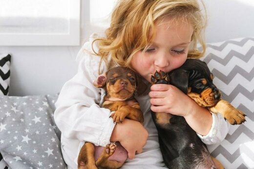 Are Dachshunds a Good Breed for Families With Children?