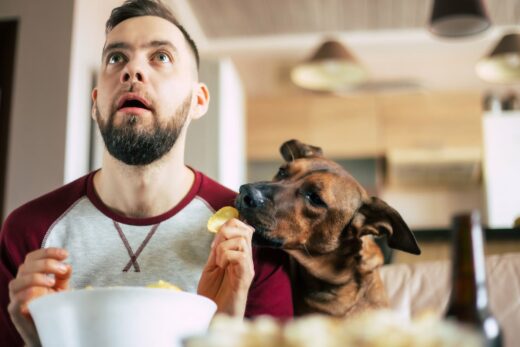 Dangerous Human Foods That Your Dog CAN'T Eat