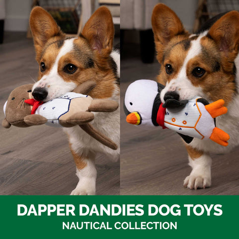 A white, black, and brown corgi holds a puffin and otter plush toy in its mouth at Furhaven Pet Products.