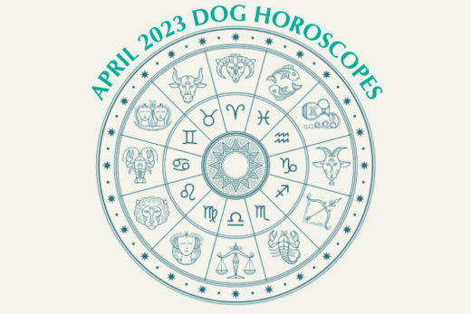 Dog Horoscopes: What to Expect in April 2023